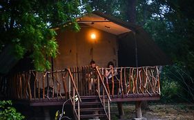 Camp Leopard - Yala Safari Glamping